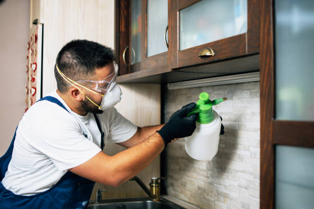 Best Pest Removal Services  in Minden, NE